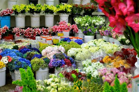 La flor market - The Los Angeles Flower Market is generally for industry members since it’s technically a wholesale flower market. However, there are pockets of …